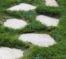 Stepping Stones
