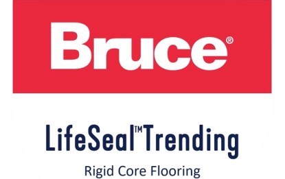 bruce lvt logo