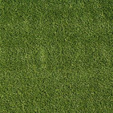 emarald-precut-turf