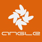 angle world logo