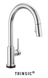 Trinsic Kitchen Faucet
