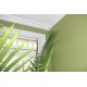 CM-1001 Crown Molding