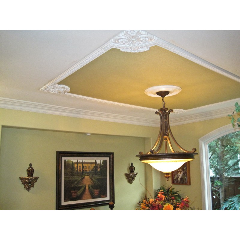 Wr 9100 Ceiling Relief Set