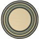 CASPIAN 1003X 1' 9" X 3' 9" Area Rug