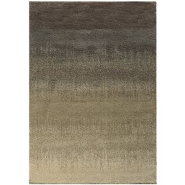 COVINGTON 002J6 3' 3" X 5' 5" Area Rug