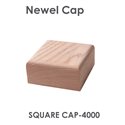 3-1/4" Square Newel Cap