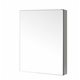 Confiant 20" Mirrored Medicine Cabinet Recessed or Surface Mount