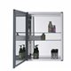 Confiant 20" Mirrored Medicine Cabinet Recessed or Surface Mount