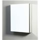 Confiant 20" Mirrored Medicine Cabinet Recessed or Surface Mount