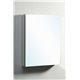 Confiant 20" Mirrored Medicine Cabinet Recessed or Surface Mount