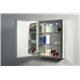 Confiant 20" Mirrored Medicine Cabinet Recessed or Surface Mount