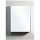 Confiant 20" Mirrored Medicine Cabinet Recessed or Surface Mount