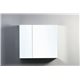 Confiant 30" Mirrored Medicine Cabinet Recessed or Surface Mount