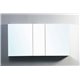 Confiant 50" Mirrored Medicine Cabinet Recessed or Surface Mount