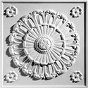 Medallion 24" x 24" White Ceiling Tiles