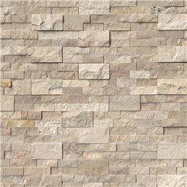 Roman Beige Panel 6x24 (6 Sqft Per Box)