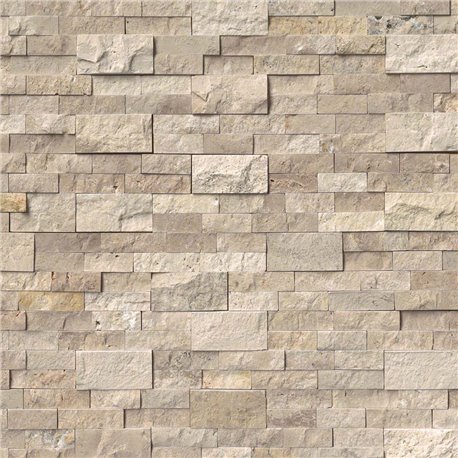Roman Beige Panel 6x24 (6 Sqft Per Box)