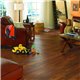 Mannington Adura Max Luxury Vinyl Acacia Tiger's Eye - MAX011