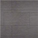 Focus Graphite Gray Porcelain Matte 12x24