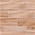 Aspenwood Amber Beige Porcelain matte 9x48