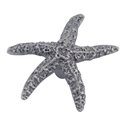 StarFish Knob - Pewter