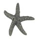 StarFish Knob - Verdigris