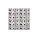MOSAIC WITH STONE (10 sqft. Per carton)