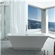 Virtu USA Serenity VTU-3567 67" x 31.3" Freestanding Soaking Bath Tub